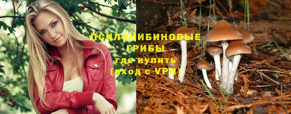 меф Переславль-Залесский
