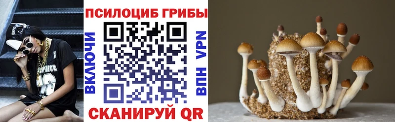 Купить где  Циолковский  Галлюциногенные грибы прущие грибы 